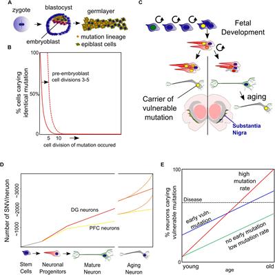 Frontiers | Entanglement Of Genetics And Epigenetics In Parkinson’s Disease